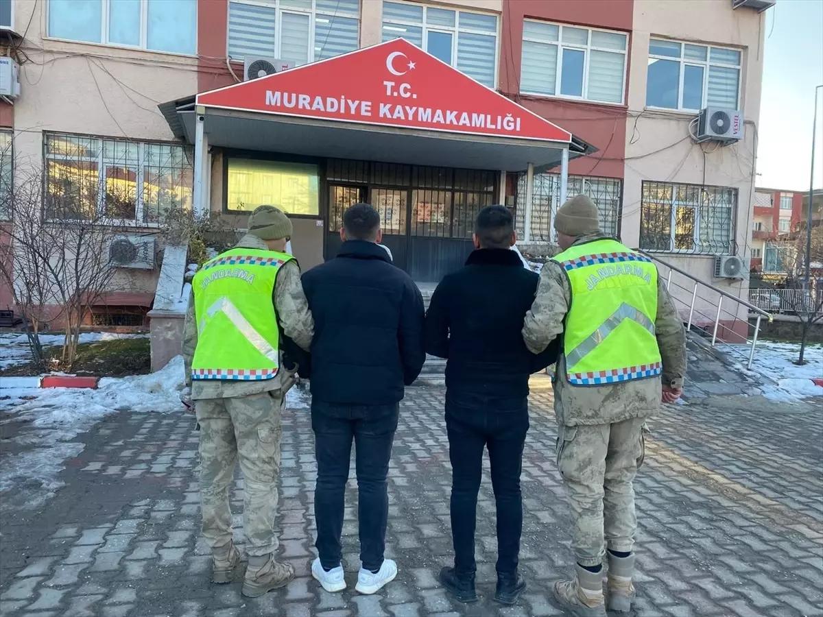Van’da 5 Düzensiz Göçmen Yakalandı